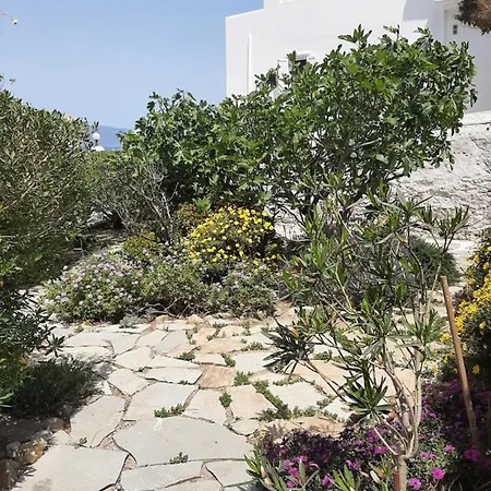 Pensjonat Angela's Mykonos Town