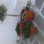 Angela's Konukevi