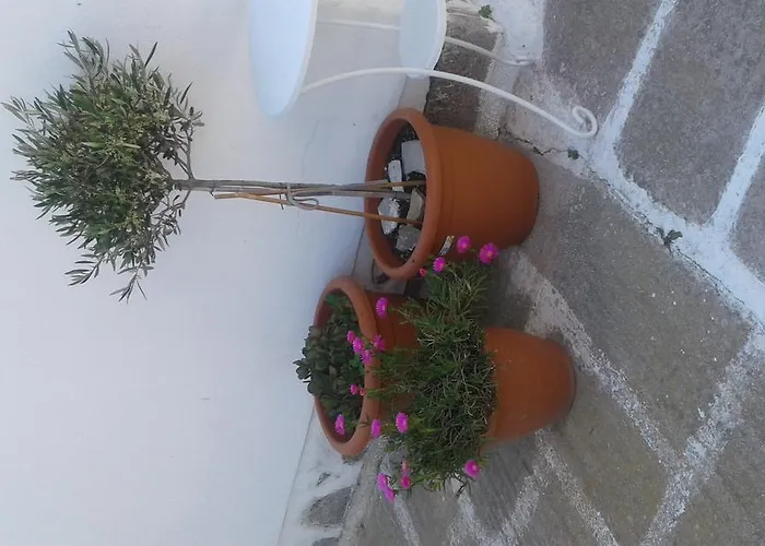 Angela's Гостевой дом